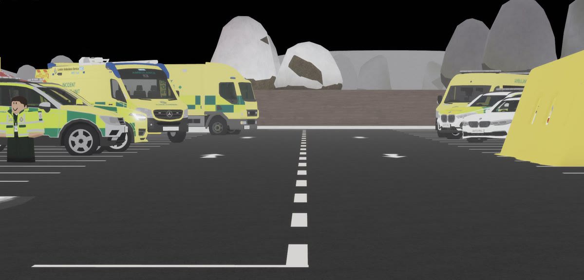 Tri-Service open day at St Mattlocks Hospital (photo 3)